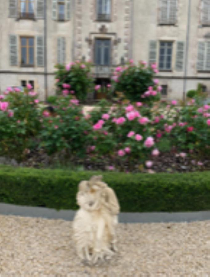 Chateau Pont Jarno B&B Champdeniers ภายนอก รูปภาพ