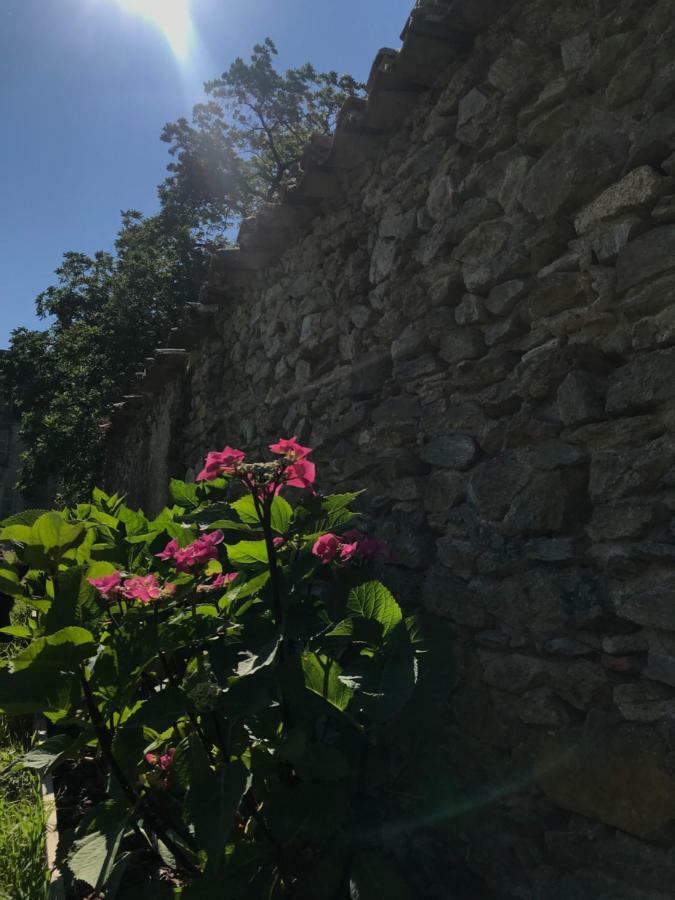 Chateau Pont Jarno B&B Champdeniers ภายนอก รูปภาพ