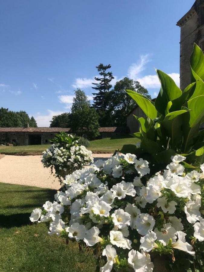 Chateau Pont Jarno B&B Champdeniers ภายนอก รูปภาพ